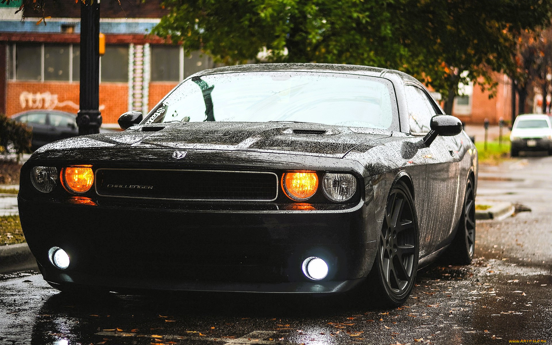dodge challenger, , dodge, , , , 